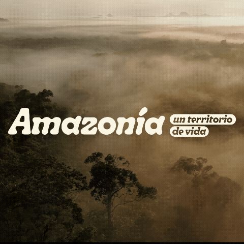 Amazonía un territorio de vida